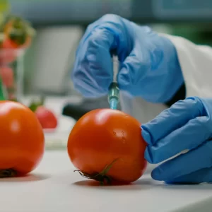 Aggiornamento HACCP – Attività Complesse